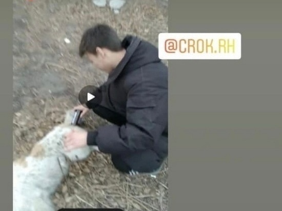 В Хакасии ученики кадетского класса жестоко убили чужую собаку