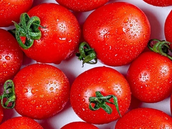 Специалисты дали новичкам совет, как правильно выращивать помидоры