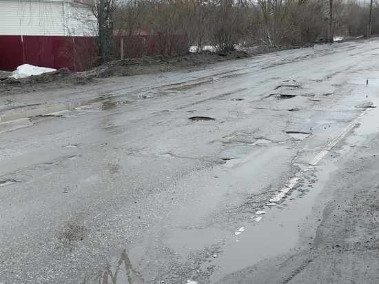 Жители Рязанской области пожаловались на качество дороги в деревне Кобылинка
