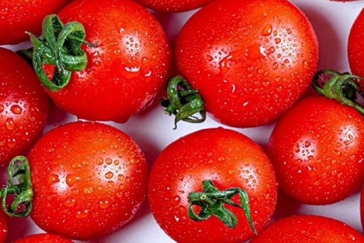 Специалисты дали новичкам совет, как правильно выращивать помидоры