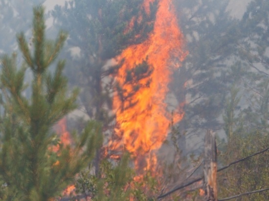 В Бурятии тушат первые лесные пожары