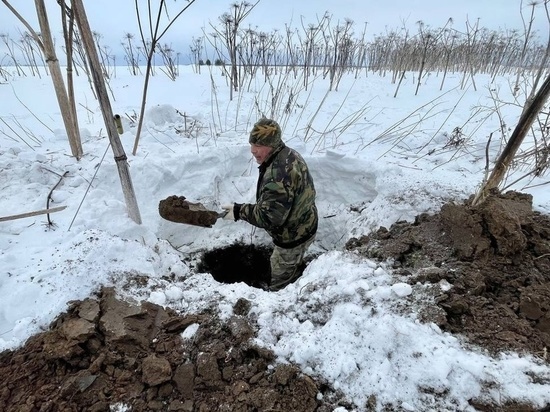 Под зарослями борщевика в Тверской области обнаружили останки еще восьми красноармейцев