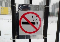 Курение не только наносит вред организму человека в целом