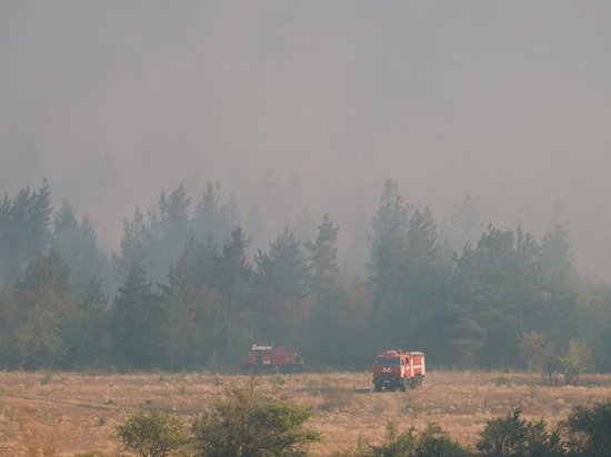 В Приангарье могут обновить технику для тушения лесных пожаров