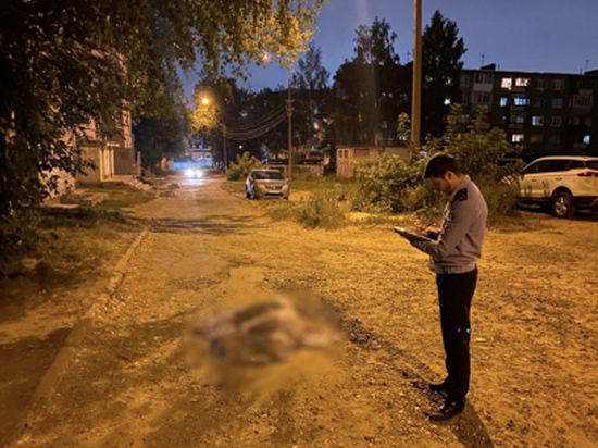 В Вологде осудили местного жителя, убившего 24-летнего соседа из-за его просьб о тишине