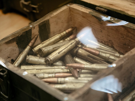 Автослесарь из Тверской области оставил в съемной квартире сотни патронов и гранаты