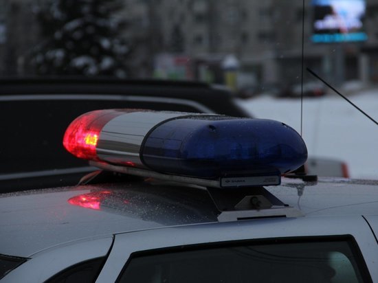21 человека задержали вологодские полицейские в рамках оперативного мероприятия «Розыск»