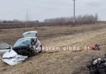 Серьезное ДТП с участием четырех авто произошло 21 марта в Яковлевском городском округе