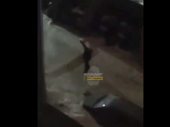 В Новосибирске полиция проверит стрельбу во дворе на Челюскинце
