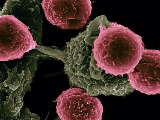 ИИ разработал потенциально эффективное лекарство от рака печени всего за 30 дней
