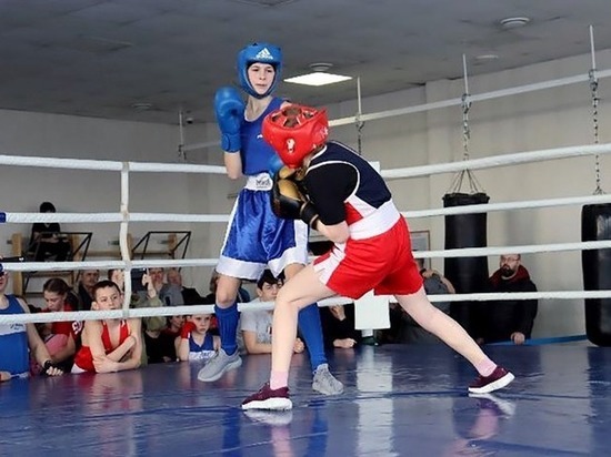 Юные тамбовские боксеры разыграют медали первенства области