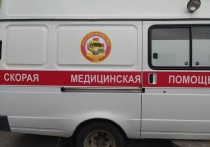 Восемь человек из Горностаевского района Херсонской области госпитализировали с подозрением на грипп H5N1, сообщают экстренные службы региона