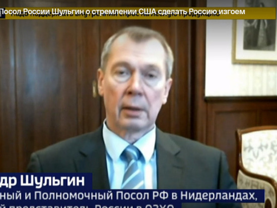 Посол России Шульгин не увидел подвижек в деле по скифскому золоту