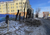 Пока в губернатор Андрей Чибис готовится к прямой линии, прямо под боком правительства области в городской мэрии происходят вещи, возмущающие северян