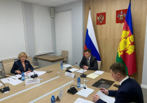 Заместитель Губернатора Краснодарского края Роман Лузинов провел заседание краевой комиссии, на котором обсудили вопросы обеспечения доходов в консолидированный бюджет
