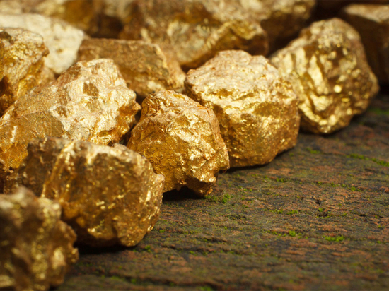 Россыпное золото начнут добывать в восьми районах Хабаровского края