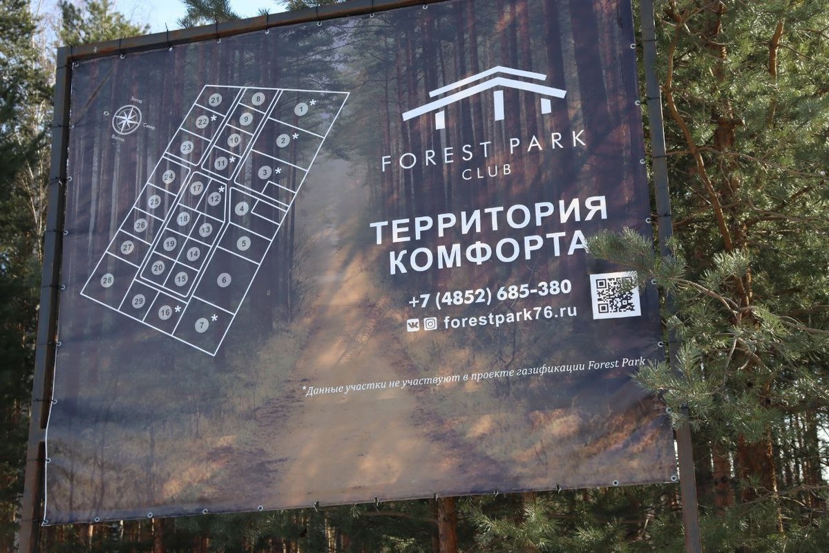 В Ярославском районе возбуждено уголовное дело по факту вырубки леса в Прусово
