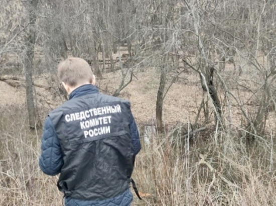 В Саратовской области в затопленной лесополосе нашли труп мужчины