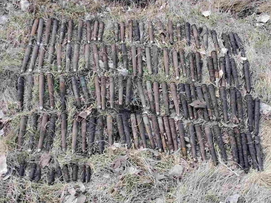 В Курской области обнаружили 119 артиллерийских снарядов