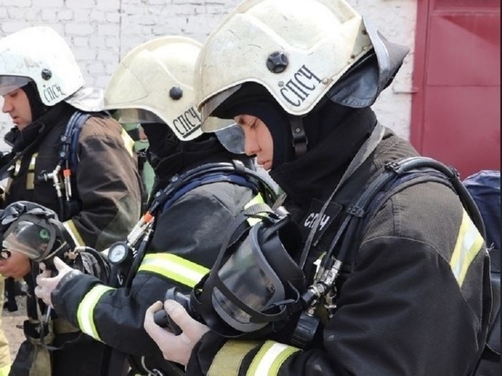 В Орловской области назвали дату начала пожароопасного периода