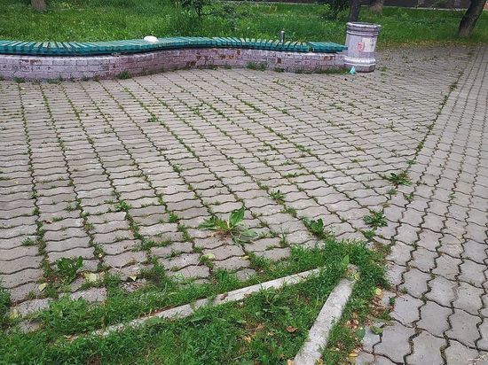 В Хабаровске благоустроят парки и скверы по нацпроекту