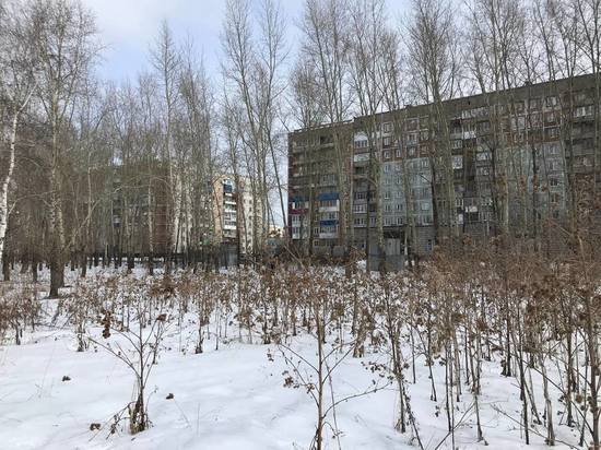 Сад в память о погибших детях не пострадает: мэр Новокузнецка пообещал не уничтожать вишни на месте строительства катка
