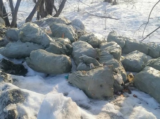 Браконьеры устроили свалку очисток от краба вдоль федеральной дороги на Сахалине