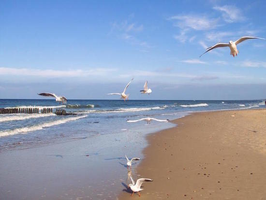 Какой сегодня праздник: 22 марта – День Балтийского моря