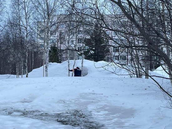 Ребенок не пострадал: в следкоме Ямала прокомментировали ситуацию с провалившейся в снег девочкой в Надыме