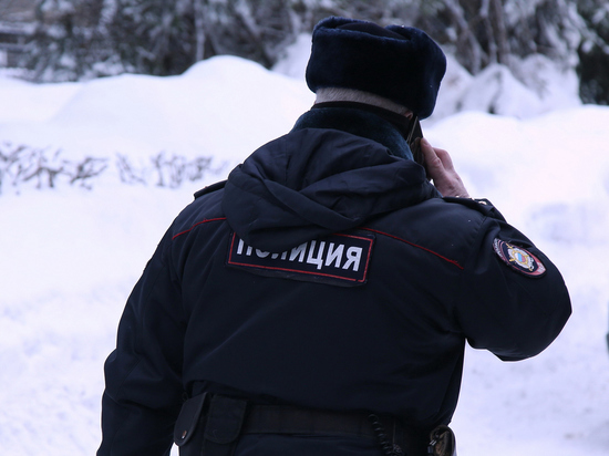 В драке юных гастарбайтеров в Красногорске убили человека