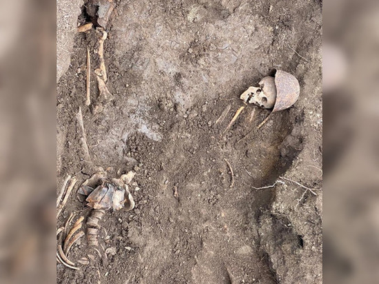 Во время раскопок в Ростовской области нашли останки пятерых красноармейцев