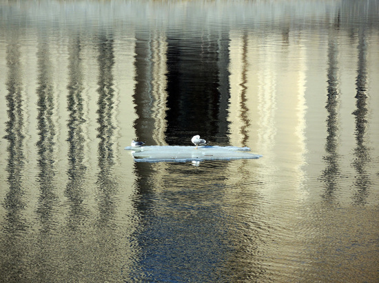 До конца недели в Подмосковье будет очень тепло