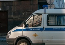Омские полицейские обнаружили в секретном погребе тела 85-летней пенсионерки и ее сына, сообщает телеграм-канал «112»