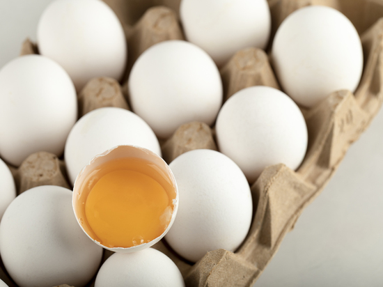 Тюменская птицефабрика нарастила объем производства яйца