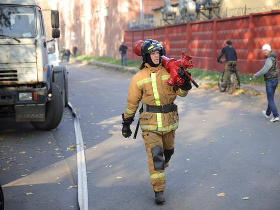 В Калининграде за ночь сгорели четыре машины
