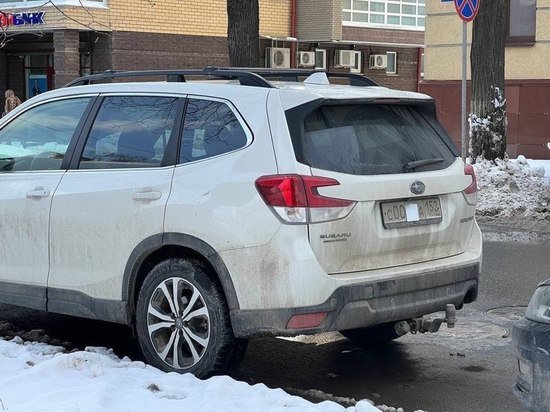 Нижегородские депутаты единогласно одобрили запрет сокрытия номеров на платных парковках