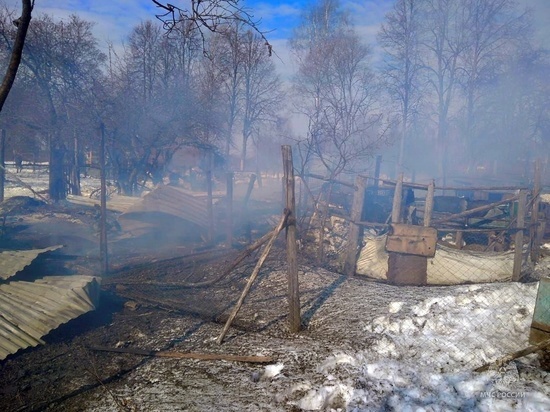 В результате страшного пожара в Вяземском районе погибли 85 животных