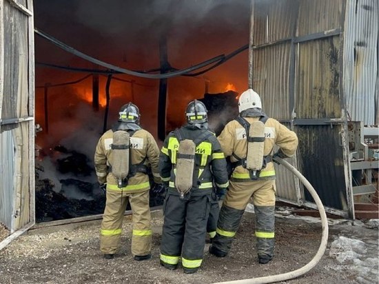 Крупный пожар на складе под Рязанью локализован на площади 700 кв. м.