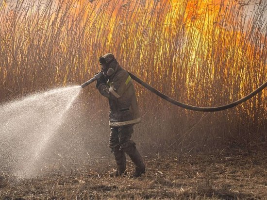 Пожар в Астраханском природном заповеднике тушили трое суток