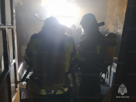 На пожаре в Алексине спасли двух человек