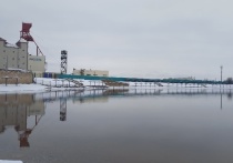 Жители Соль-Илецка собирают подписи под документом, в котором настоятельно просят власти снести арт-объект под названием «арбундинг»