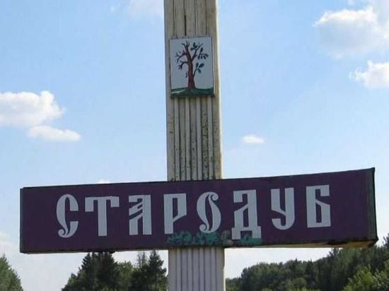 ВСУ обстреляли село Демьянки в Брянской области, есть разрушения