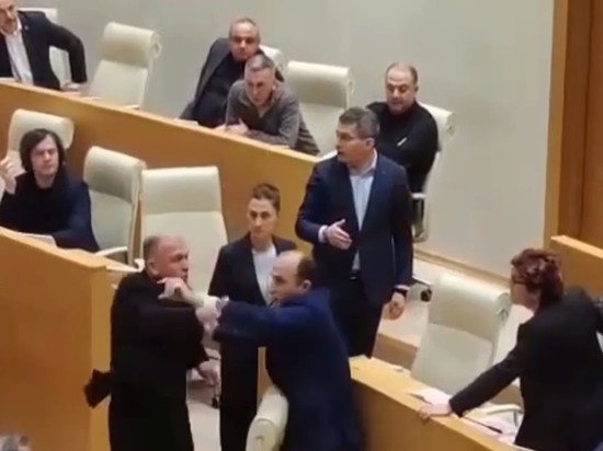 Появилось видео драки микрофонами в парламенте Грузии