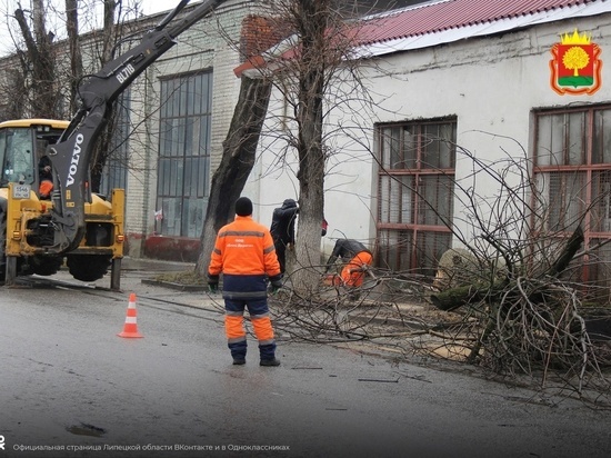 В Ельце начали ремонт дорог