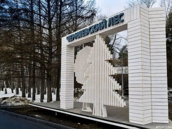 В Перми закончили строительство первой конструкции на входе в Черняевский лес