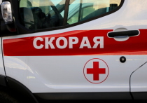 В Москве в анализах двухлетней девочки, поступившей в больницу с отравлением, нашли следы алкоголя и наркотиков
