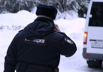 Двойное убийство совершено в ночь на четверг в Волоколамском городском округе Подмосковья