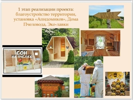 Пчелосанаторий появится в Менделеевском районе Татарстана