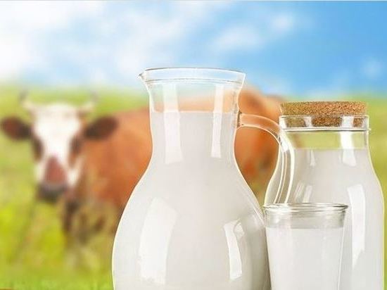 В Орловской области стали производить меньше молока