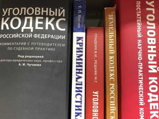 Товары на 30 тысяч рублей похитил житель Междуреченского округа